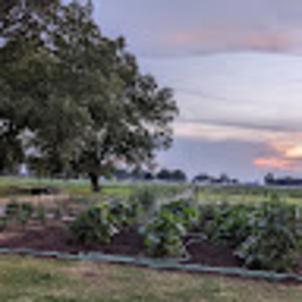 Meet your Posher, Celina